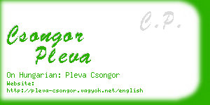 csongor pleva business card